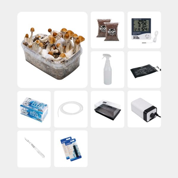 Kit Completo per Studi Micologici