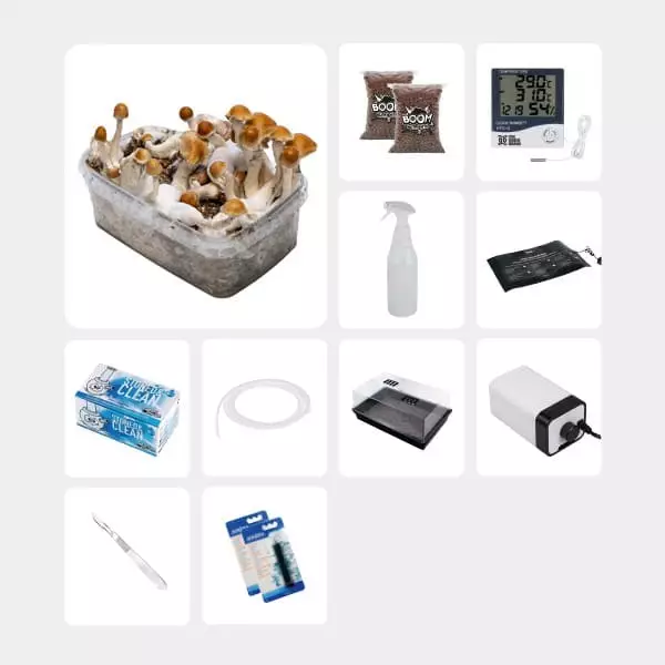 Kit Completo per Studi Micologici