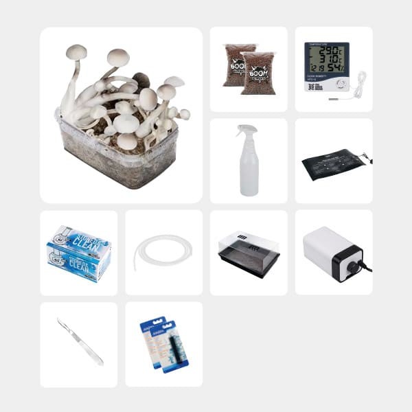 Kit Completo per Studi Micologici