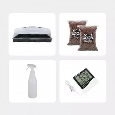 Visualizzazione Kit Economico per la Coltivazione di Funghi