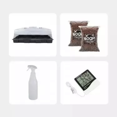 Kit Economico per la Coltivazione di Funghi