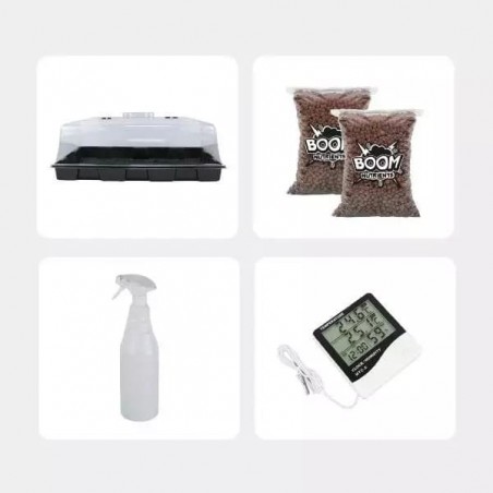Kit Economico per la Coltivazione di Funghi