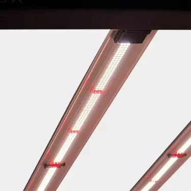 LED Galaxy 1800E 630W Solux per indoor.