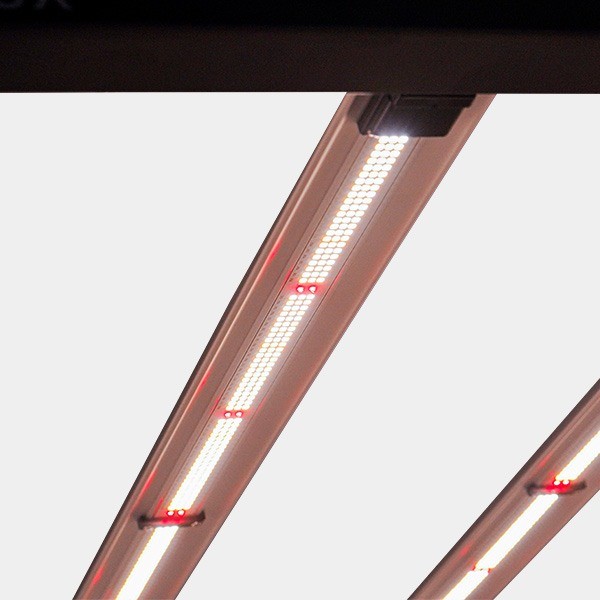 LED Galaxy 1800E 630W Solux per indoor.