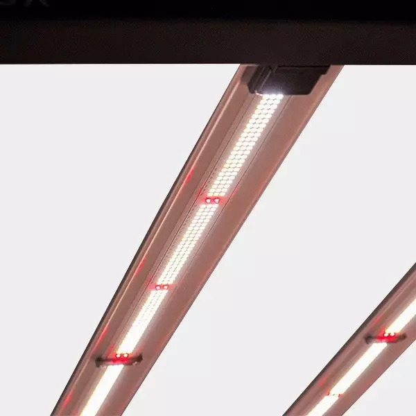 LED Galaxy 1800E 630W Solux per indoor.