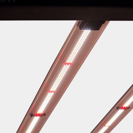 LED Galaxy 1800E 630W Solux per indoor.