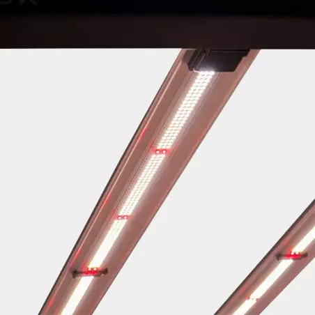 LED Galaxy 1800E 630W Solux per indoor.