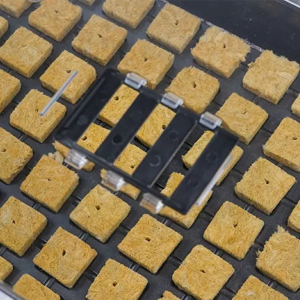 Kit propagatore + vassoio