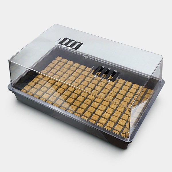 Kit propagatore + vassoio in lana di roccia a 150 alveoli