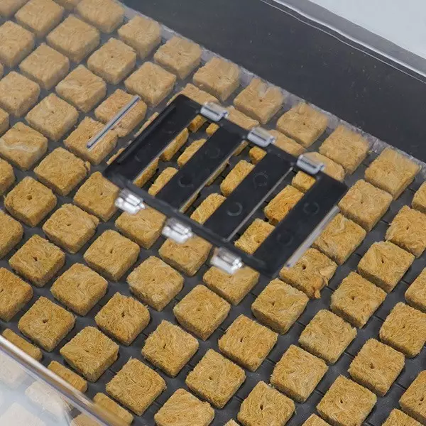 Kit propagatore + vassoio