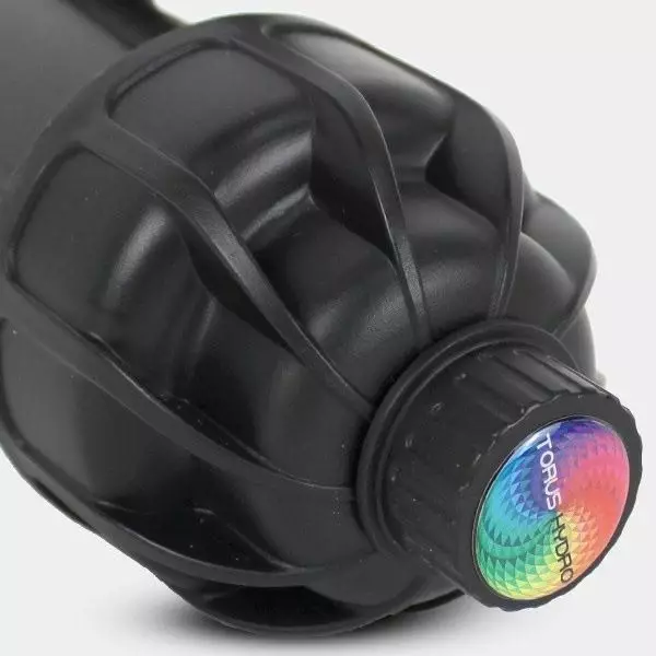 Regolatore pH Torus Hydro