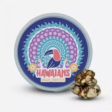 High Hawaiians 🌸 Tartufi con la più alta quantità di psilocibina