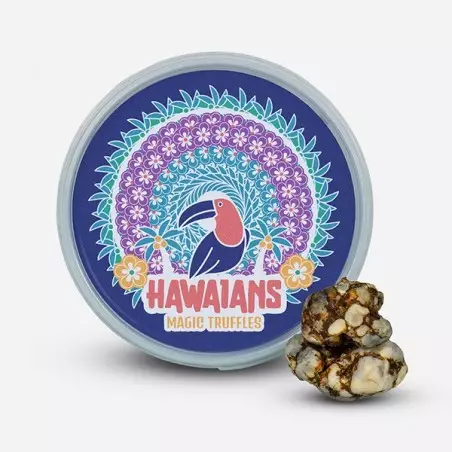 Kit Aloha Hawaii - GB The Green Brand