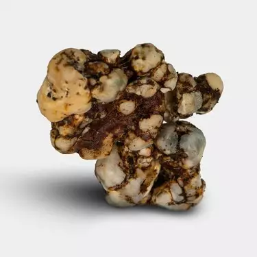 Tartufi Sex on the Beach 🌴💋 - GB The Green Brand