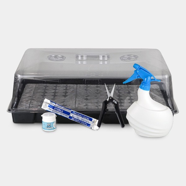 Visualizzazione Kit per talee Boom Nutrients