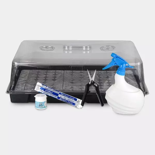 Kit per talee Boom Nutrients Kit per talee Boom Nutrients