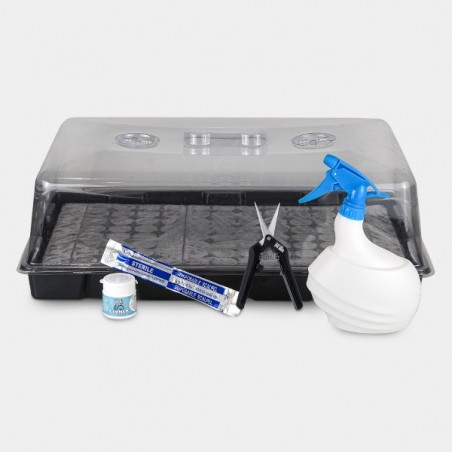 Kit per talee Boom Nutrients