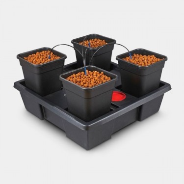 Wilma Large 4 completo 11L