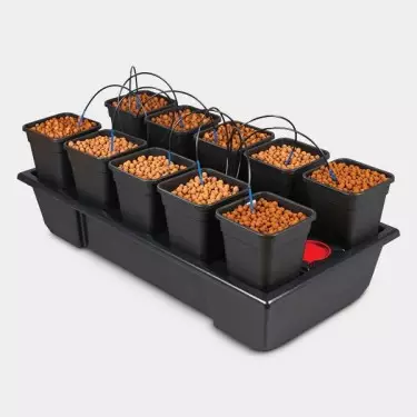 Wilma 10 completo vasi da 6L idroponica.
