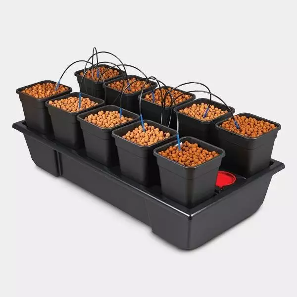 Visualizzazione Wilma 10 completo vasi da 6L idroponica.