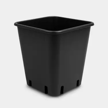 Vaso per sistema Wilma