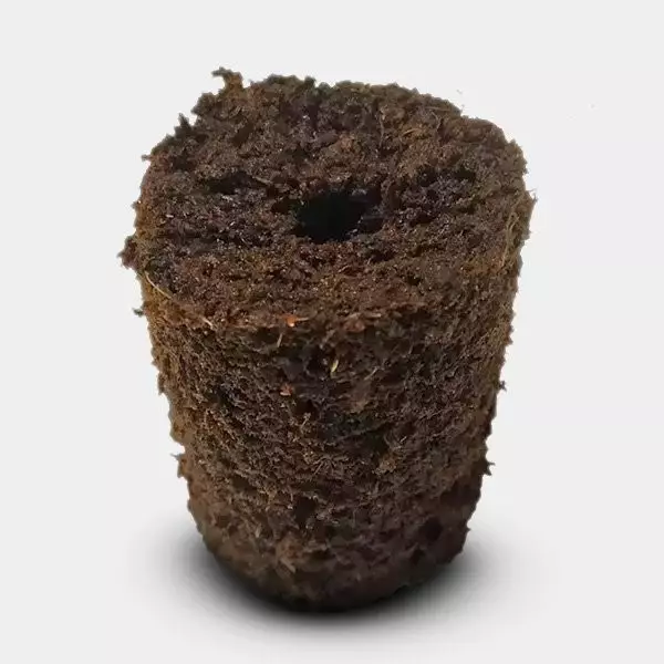 Vassoio Plugins Pro Xtract 104 alveoli.