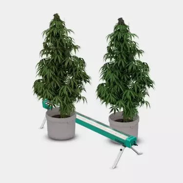 LED Under Canopy 120W PRO GB Lighting dettaglio piante funzionamento