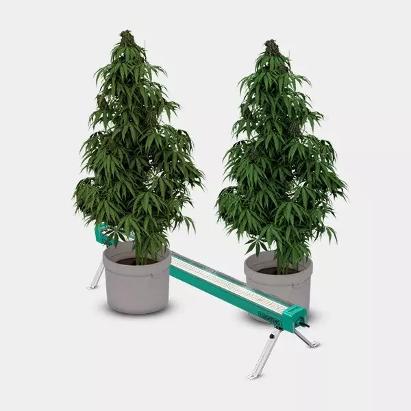 LED Under Canopy 120W PRO GB Lighting dettaglio piante funzionamento