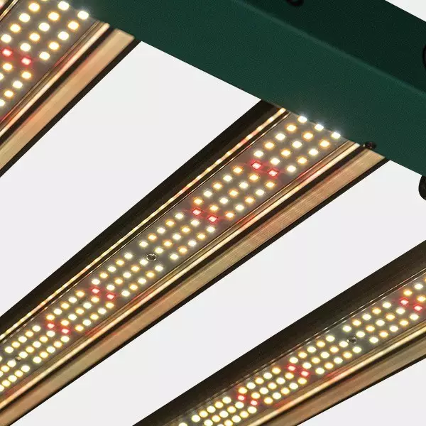 Sistema LED Dimmerabile 240 W PRO GB Lighting acceso dettaglio