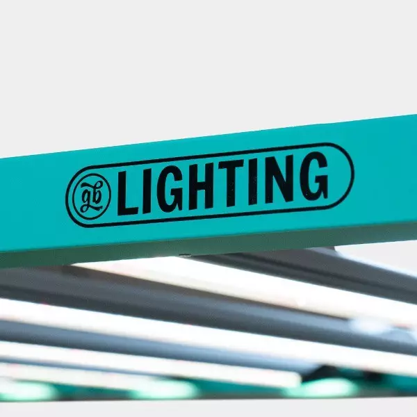 Sistema LED Dimmerabile 720W PRO MAX GB Lighting marchio