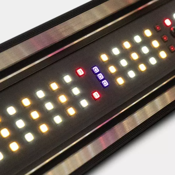 Sistema LED Dimmerabile 800 W PRO MAX GB Lighting LED accesi