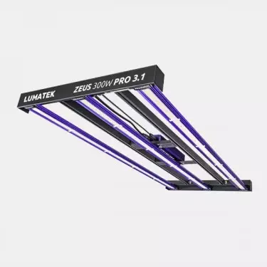 LED Zeus 300W Pro 3.1 di Lumatek 💡 🟣- GB The Green Brand