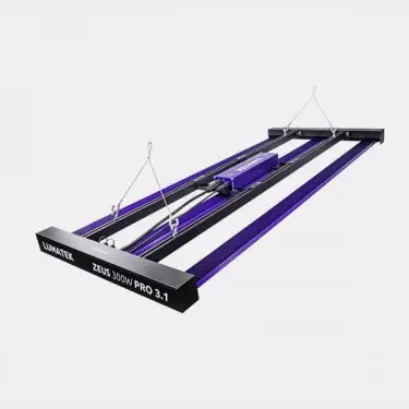 LED Zeus 300W Pro 3.1 di Lumatek 💡 🟣- GB The Green Brand