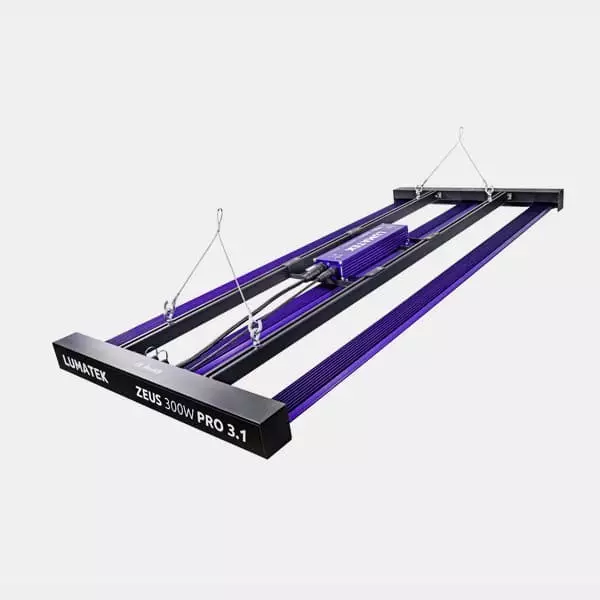 LED Zeus 300W Pro 3.1 di Lumatek 💡 🟣- GB The Green Brand