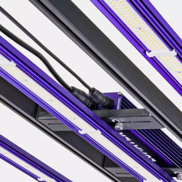 LED Zeus 300W Pro 3.1 di Lumatek 💡 🟣- GB The Green Brand