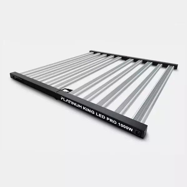 Visualizzazione Platinum King LED 1000W con Dimmer - GB The Green Brand