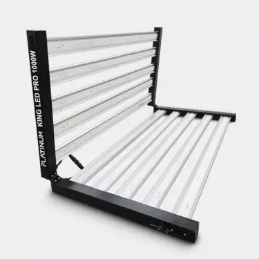 Platinum King LED 1000W con Dimmer - GB The Green Brand