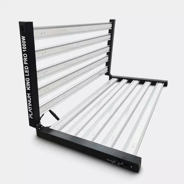 Platinum King LED 1000W con Dimmer - GB The Green Brand