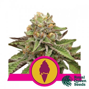 Green Gelato