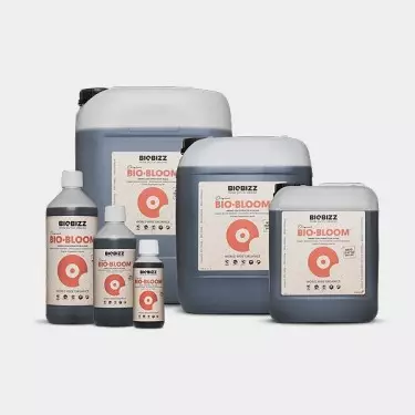 Bio Bloom orgánico per fioritura BioBizz