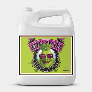 Big Bud Advanced Nutrients formato grande