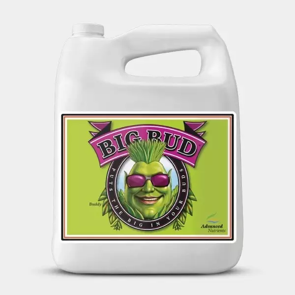 Big Bud Advanced Nutrients formato grande