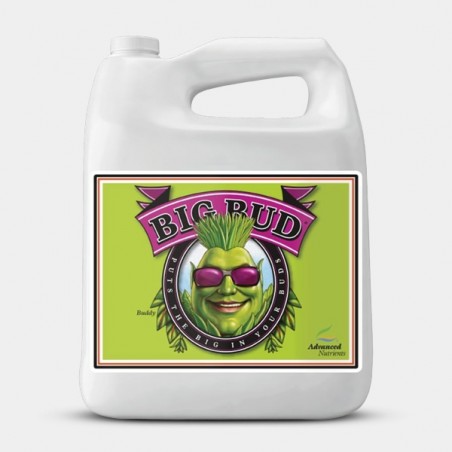 Big Bud Advanced Nutrients formato grande