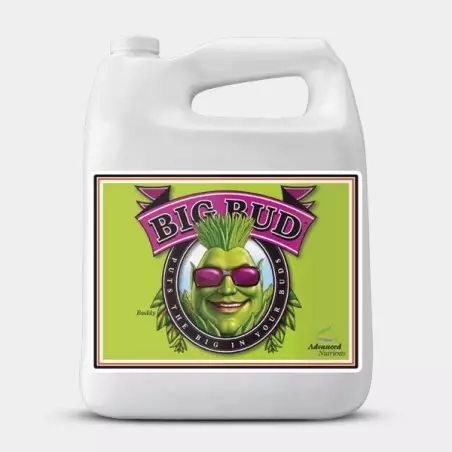 Big Bud Advanced Nutrients formato grande