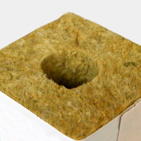 Cubo lana di roccia disponibile in varie misure radicazione talee
