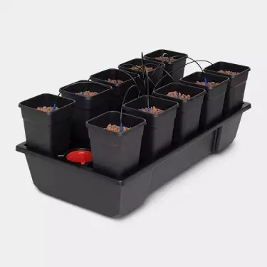 Wilma 10 completo vasi da 6L idroponica.
