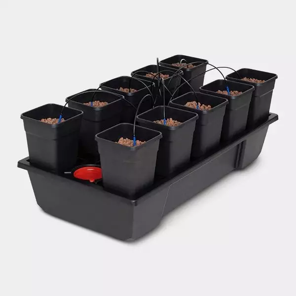 Wilma Small Wide 10 completo 6,5L Wilma 10 completo vasi da 6L idroponica.