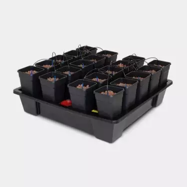 Wilma 20 Sistema idroponica di qualità Atami.