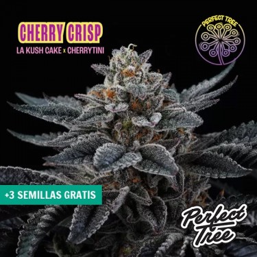 Cherry Crisp