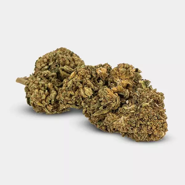 Fiori CBD GB Outdoor 'Blue Cheese'- GB The Green Brand